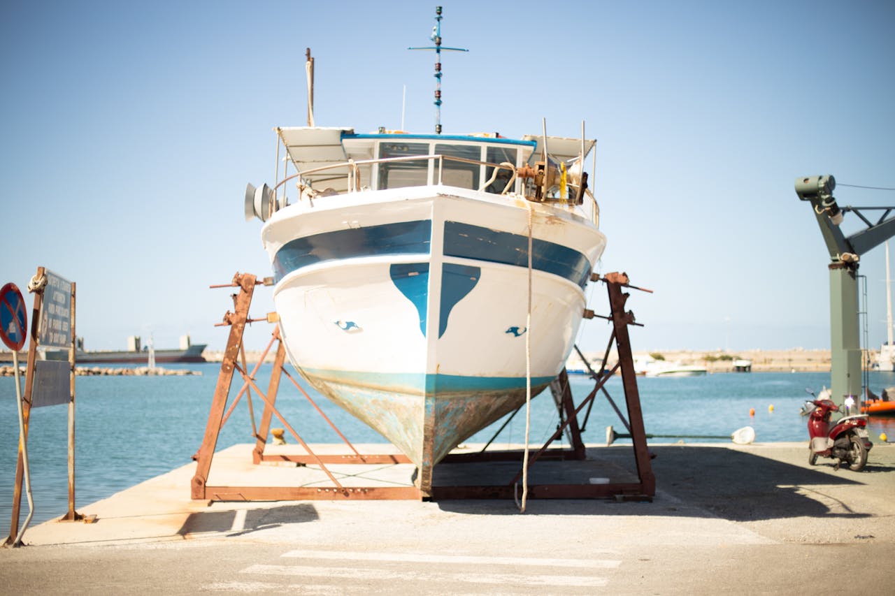 pexels photo 11401883.jpeg